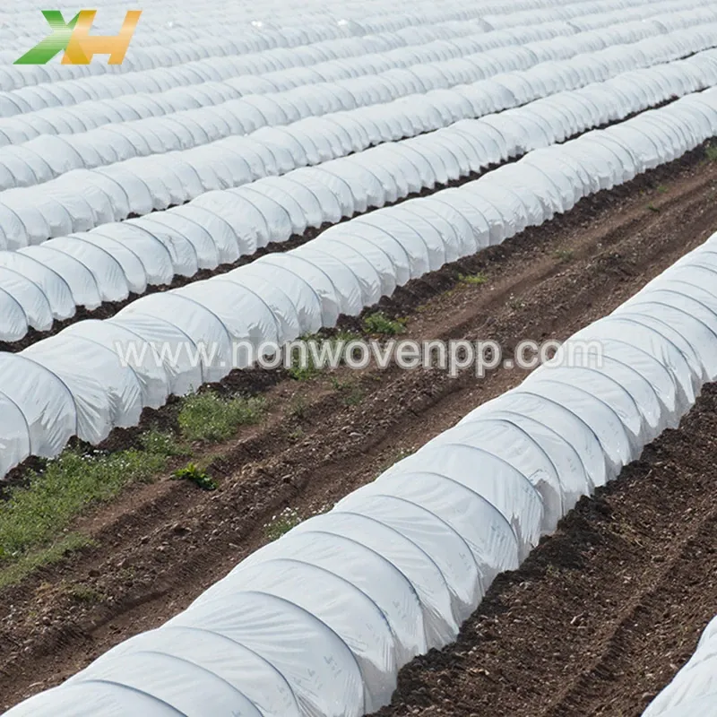 agricultural non woven crop cover